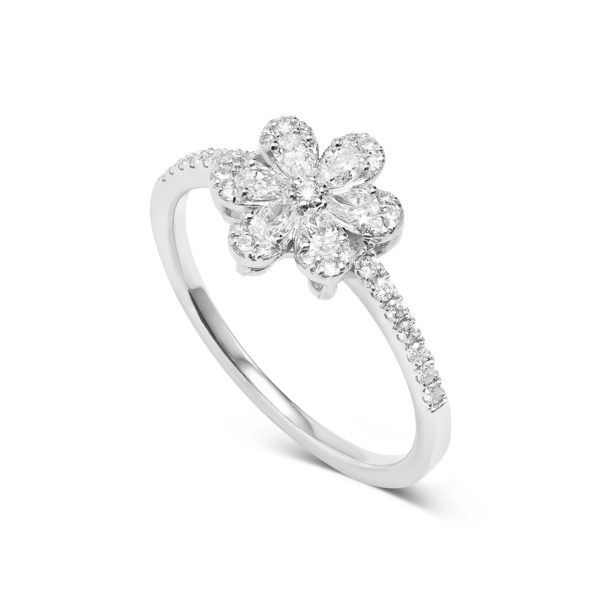 PP RG04271%201 Cluster Ring in 18K Gold